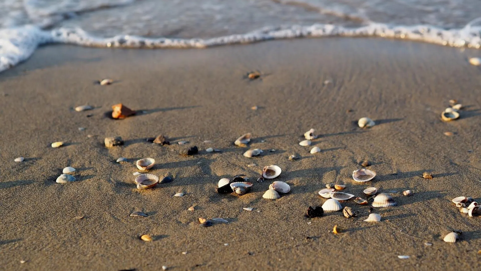 Relaxing Sea View Flat With Hydro-Massage Apartment Bibione Italy